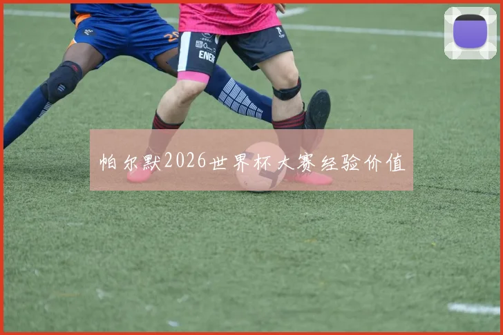 帕尔默2026世界杯大赛经验价值