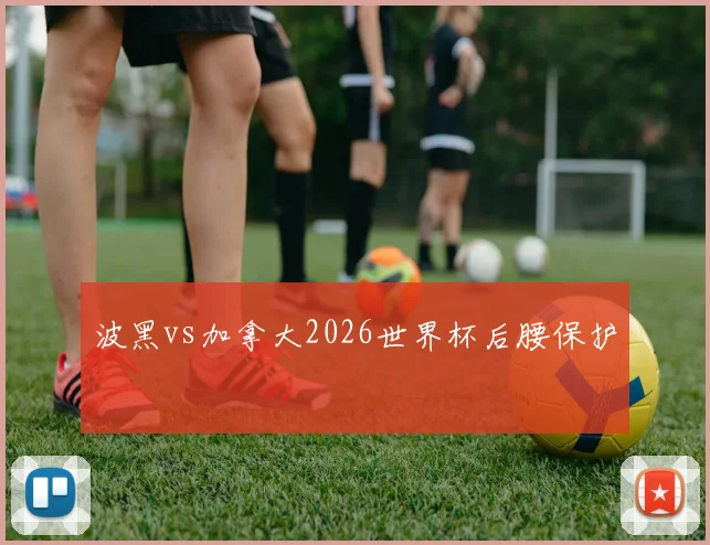 波黑vs加拿大2026世界杯后腰保护