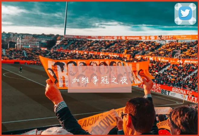加维争冠之夜