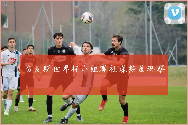 戈麦斯世界杯小组赛社媒热度观察