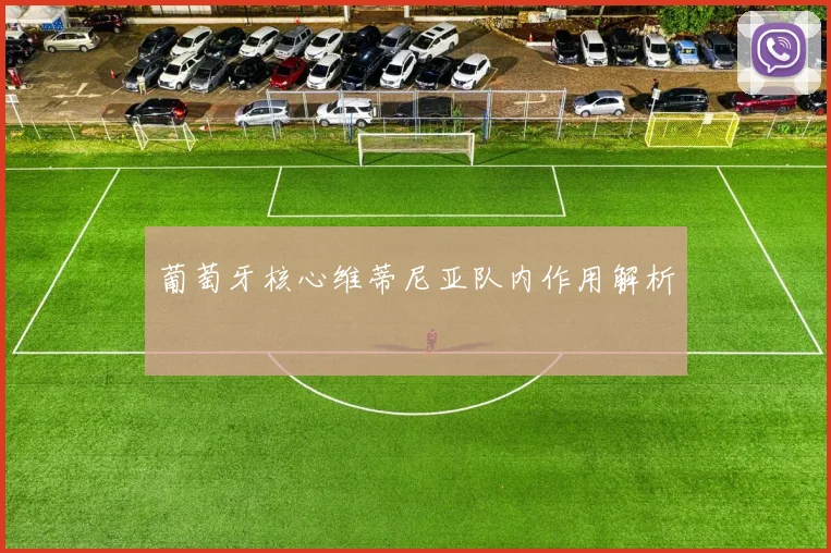 葡萄牙核心维蒂尼亚队内作用解析