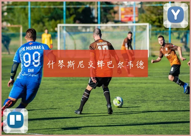 什琴斯尼交锋巴尔韦德