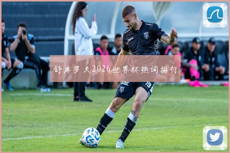 舒库罗夫2026世界杯热词排行