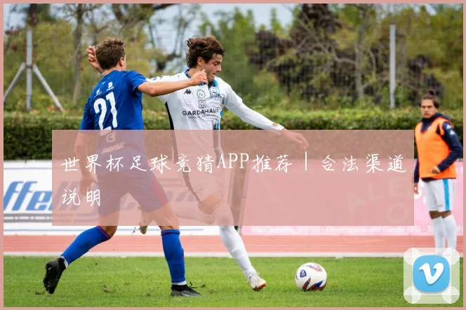 世界杯足球竞猜APP推荐｜合法渠道说明